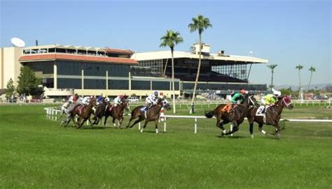 Traditional Carryovers – TwinSpires.